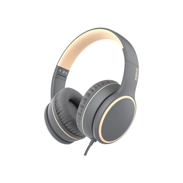 R10 Over-Ear Headphones with Microphone (B09G36XPG9)