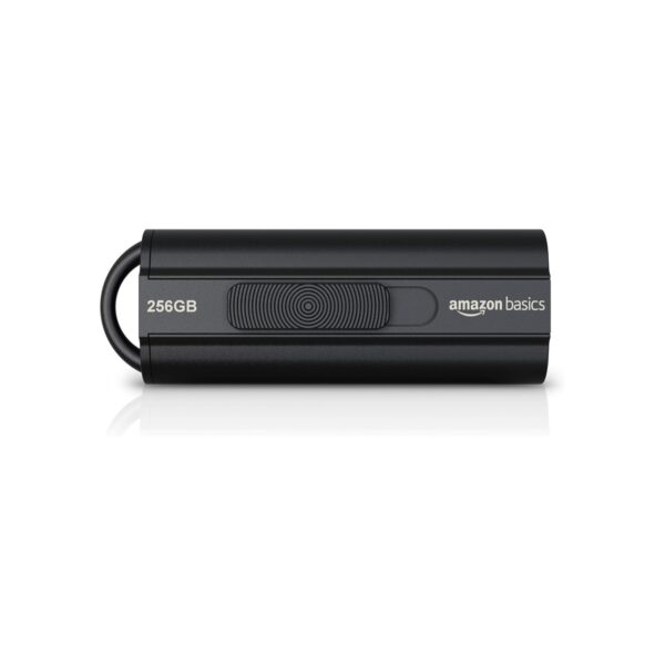 Amazon Basics 256 GB Ultra Fast USB 3.1 Flash Drive