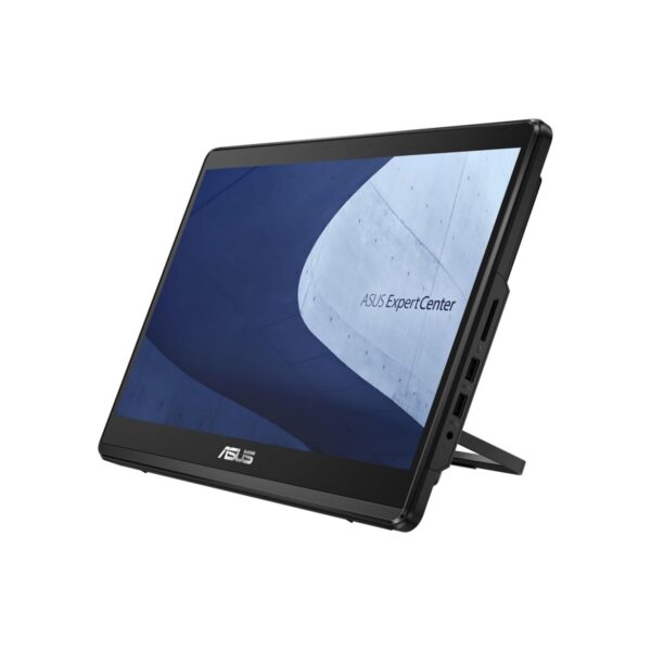 Asus ExpertCenter E1 E1600WKAT-BMR143X All-in-One Computer - Intel Celeron