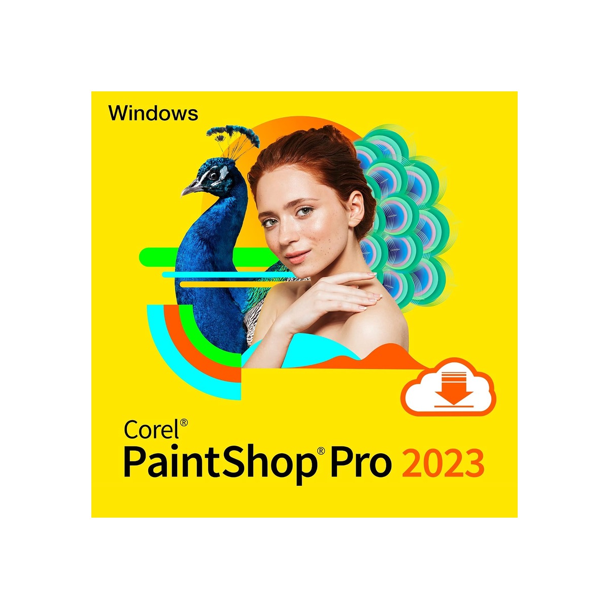 Corel PaintShop Pro 2023-1 Corel PaintShop Pro 2023 - Image 1