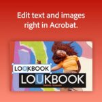 Acrobat Pro | 1-Month Subscription | PDF Software |Convert, Edit, E-Sign - Image 3