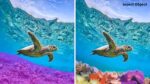 Adobe Photoshop Elements 2026 - Image 3