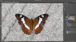 Adobe Photoshop | Photo, Image, and Design Editing Software | 1-Month - Image 3