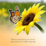 CorelDRAW Essentials 2024 - Image 4