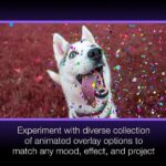 Pinnacle Studio Ultimate Video and Photo Bundle 2023 - Image 4