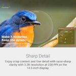 Dell XPS 14 Premium Laptop DA14250-14.5-inch Touch 3.2K OLED 48-120Hz Display - Image 5