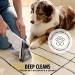 Shark CarpetXpert | Upright Carpet, Area Rug & Upholstery Cleaner (EX201) - Image 6