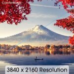 Sceptre 32-inch 4K UHD 3840 x 2160 Monitor DisplayPort x2 HDMI x2 99% sRGB - Image 6