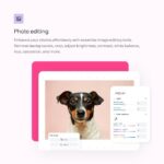 CorelDRAW Go | 1 Year Personal Subscription | Graphic Design Software for - Image 6
