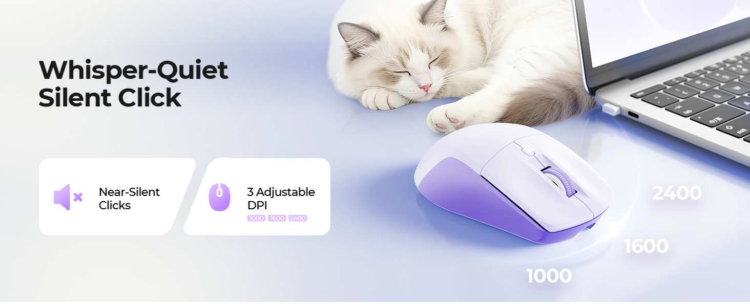 Product description