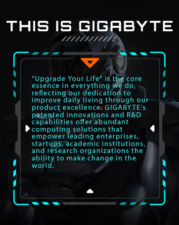 Product description