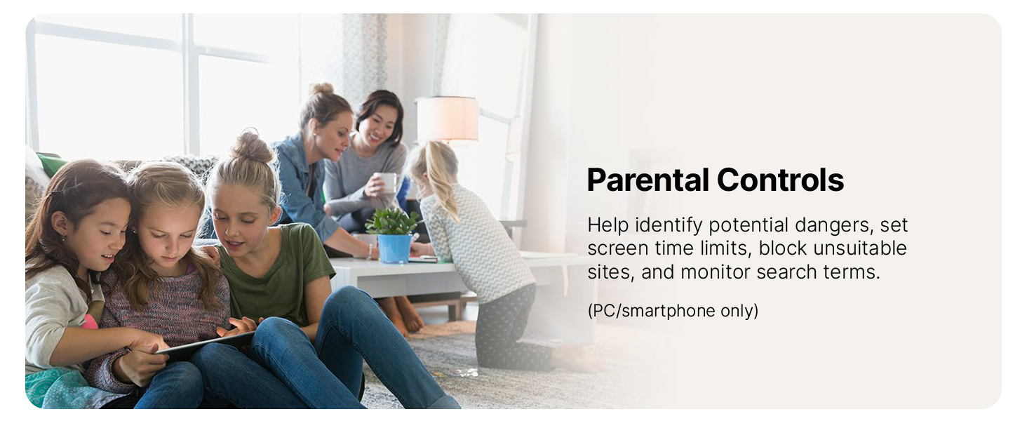 Product description