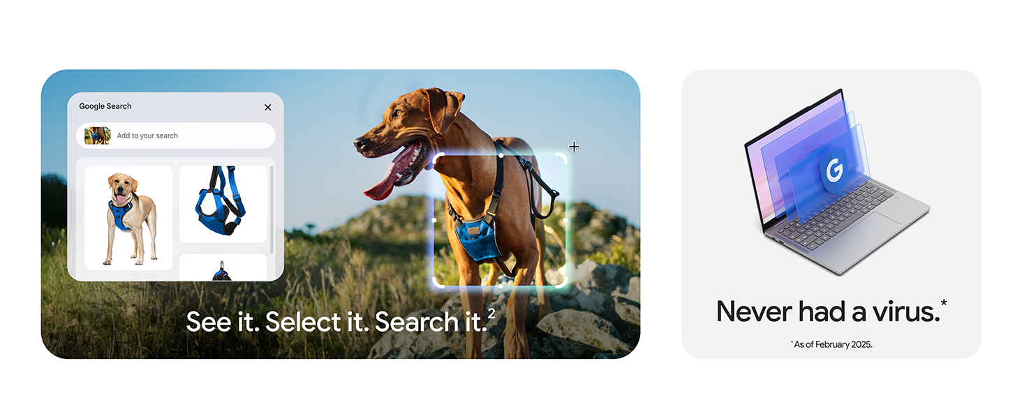 Product description